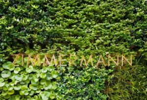 Sürdürülebilir Girişim Fikirleri: Yeşil İş Modelleri ve Çevre Dostu Yatırımlar görseli