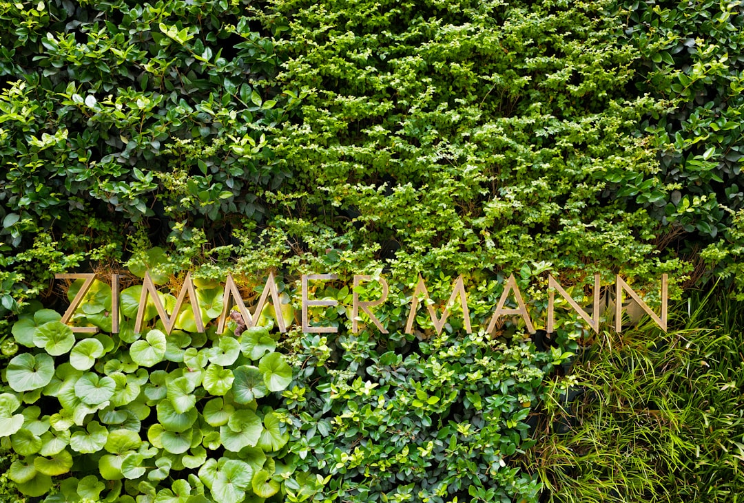 Sürdürülebilir Girişim Fikirleri: Yeşil İş Modelleri ve Çevre Dostu Yatırımlar görseli