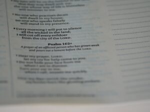 Vergi Numarası ve Vergi Kimlik Numarası Alma görseli