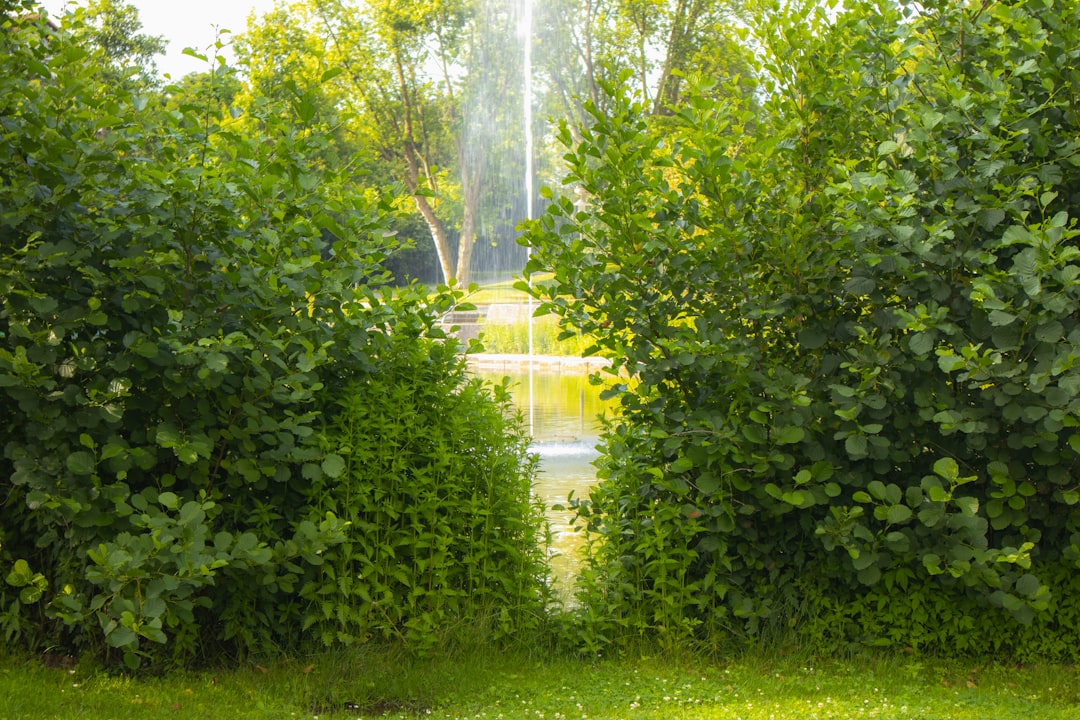 Enflasyona Karşı Korunma: Günlük Harcamalarda Akıllı Alışveriş İpuçları görseli