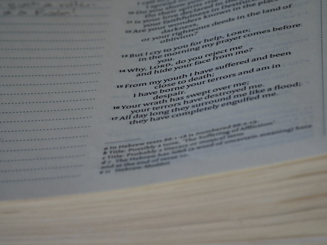 Şirket Kuruluşunda Gerekli Evraklar 2026 görseli