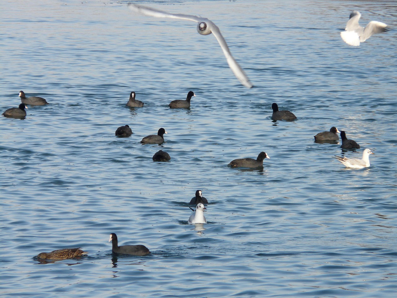 Öğrenciler İçin Para Kazanma Yöntemleri 2026 ile ilgili görsel