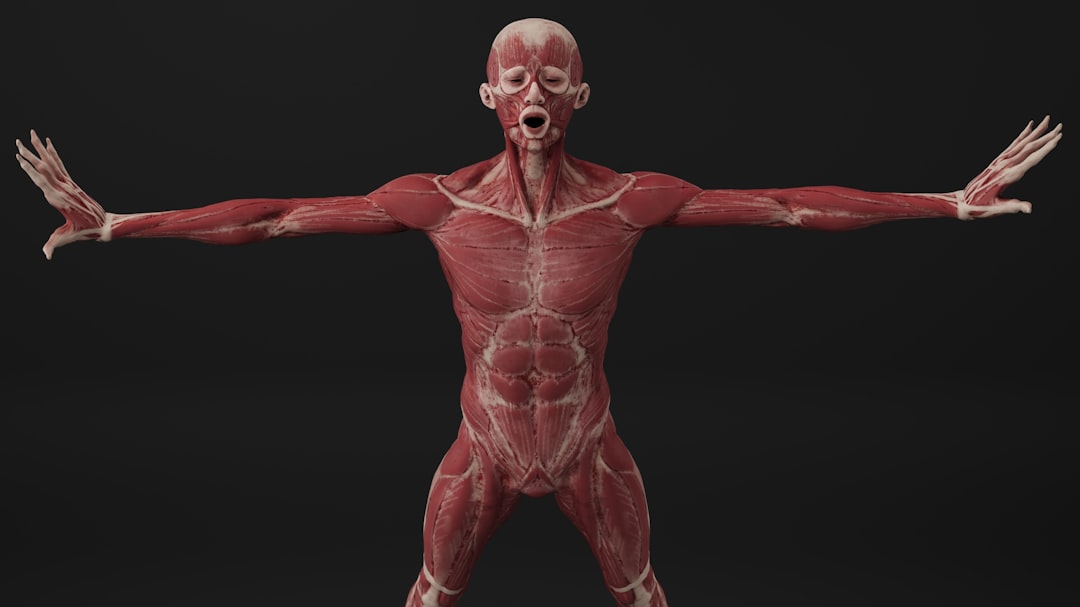 Staj Sigortası Emekliliğe Sayılır mı? konusunda görsel