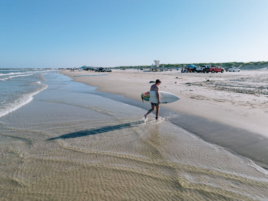 Anonim Şirketlerde Yönetim Kurulu Üyesi Sorumluluğu görseli