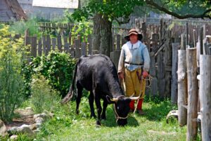 Ziraat Bankası Genç Çiftçi Kredisi Şartları ve Başvuru görseli