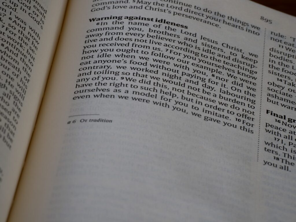 İnternet Sitesinde Zorunlu Sayfalar Hangileridir? görseli