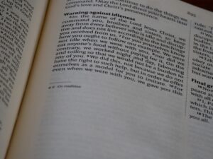 İnternet Sitesinde Zorunlu Sayfalar Hangileridir? görseli