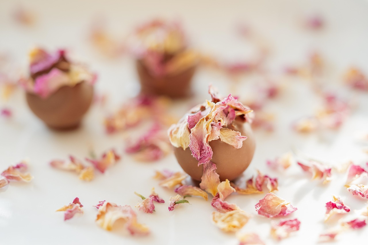 İsteğe Bağlı Sigorta (4B) Prim Oranı ve Ödeme Şekilleri konusunda görsel