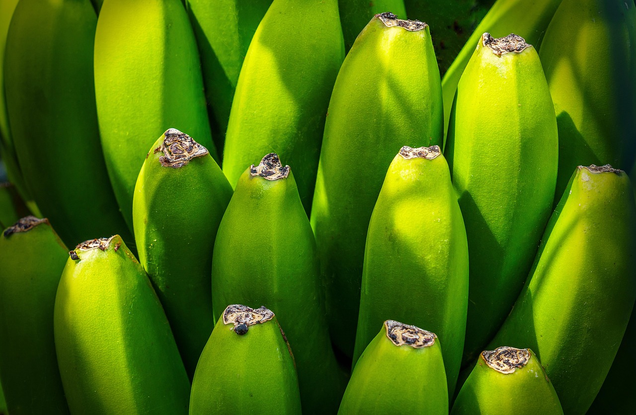 İhracat Destekleri – Devlet 5 Milyon TL’ye Kadar Karşılıyor görseli